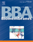 Cover of Biochimica et Biophysica Acta (BBA) - Biomembranes, featuring study using the protocol.