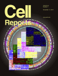 Cover of Cell Reports, featuring study using the protocol.