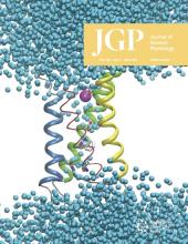 Cover of Journal of General Physiology, featuring study using the protocol.