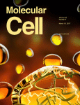 Cover of Molecular Cell, featuring study using the protocol.