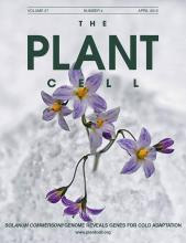 Cover of The Plant Cell, featuring study using the protocol.