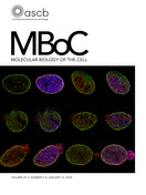 Cover of Molecular Biology of the Cell, featuring study using the protocol.