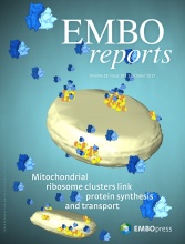 Cover of EMBO Reports, featuring study using the protocol.