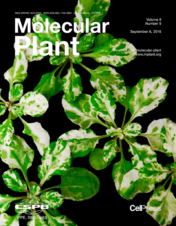 Cover of Molecular Plant, featuring study using the protocol.