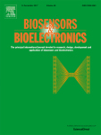 Cover of Biosensors and Bioelectronics, featuring study using the protocol.