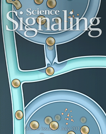 Cover of Science Signaling, featuring study using the protocol.