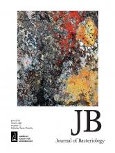 Cover of Journal of Bacteriology, featuring study using the protocol.