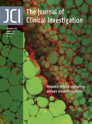 Cover of The Journal of Clinical Investigation, featuring study using the protocol.