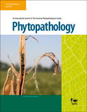 Cover of Phytopathology, featuring study using the protocol.