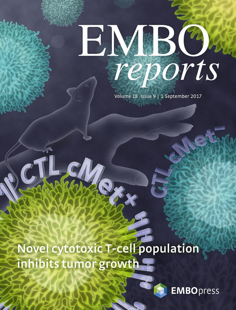 Cover of EMBO Reports, featuring study using the protocol.
