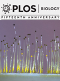 Cover of PLOS Biology, featuring study using the protocol.