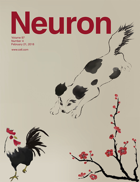 Cover of Neuron, featuring study using the protocol.