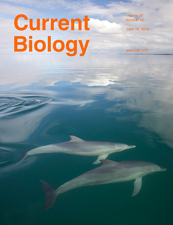 Cover of Current Biology, featuring study using the protocol.