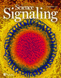 Cover of Science Signaling, featuring study using the protocol.