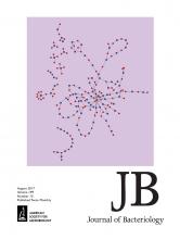Cover of Journal of Bacteriology, featuring study using the protocol.