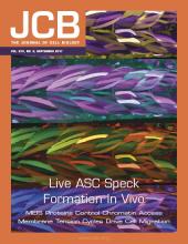 Cover of The Journal of Cell Biology, featuring study using the protocol.