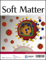 Cover of Soft Matter, featuring study using the protocol.