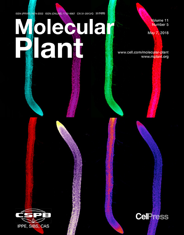 Cover of Molecular Plant, featuring study using the protocol.