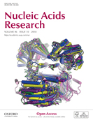 Cover of Nucleic Acids Research, featuring study using the protocol.