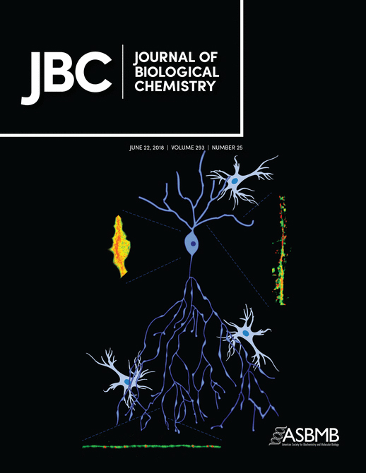 Cover of The Journal of Biological Chemistry, featuring study using the protocol.