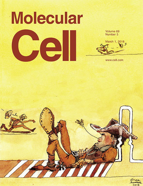 Cover of Molecular Cell, featuring study using the protocol.