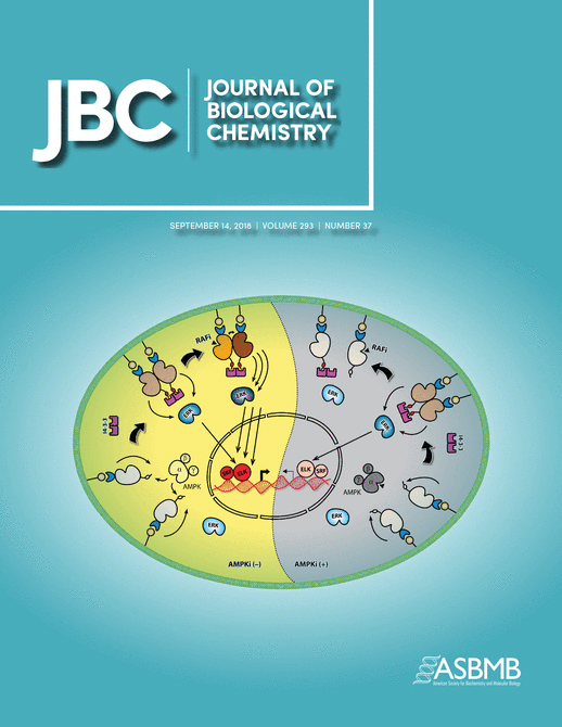 Cover of The Journal of Biological Chemistry, featuring study using the protocol.
