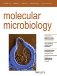 Cover of Molecular Microbiology, featuring study using the protocol.