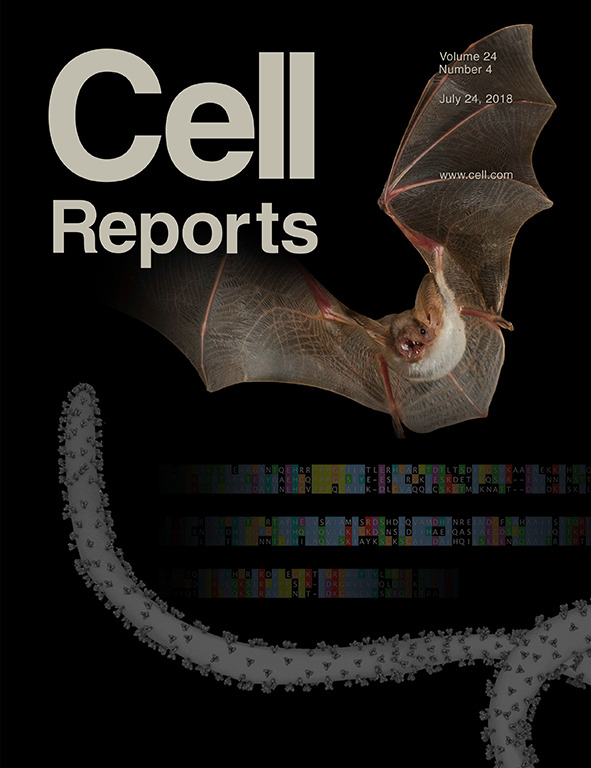 Cover of Cell Reports, featuring study using the protocol.