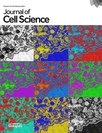 Cover of Journal of Cell Science, featuring study using the protocol.