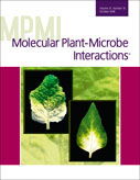 Cover of Molecular Plant Microbe Interactions, featuring study using the protocol.