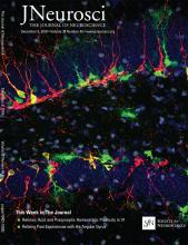 Cover of The Journal of Neuroscience, featuring study using the protocol.