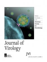 Cover of Journal of Virology, featuring study using the protocol.