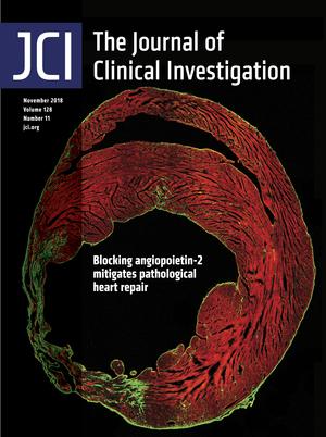 Cover of The Journal of Clinical Investigation, featuring study using the protocol.