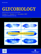 Cover of Glycobiology, featuring study using the protocol.