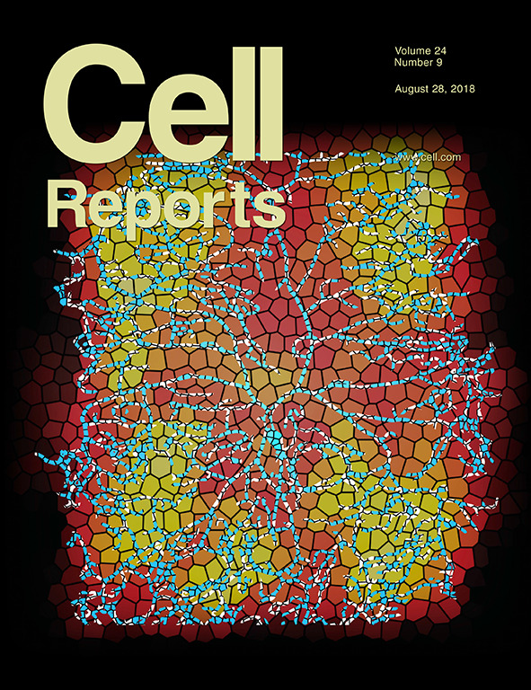Cover of Cell Reports, featuring study using the protocol.
