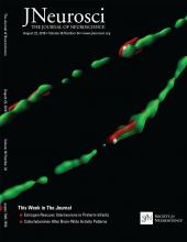 Cover of The Journal of Neuroscience, featuring study using the protocol.