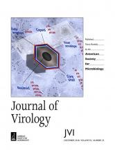 Cover of Journal of Virology, featuring study using the protocol.