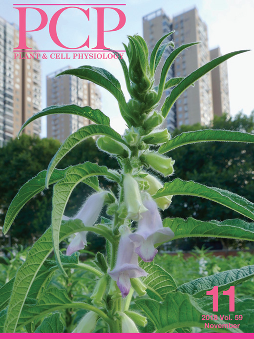 Cover of Plant Cell Physiology, featuring study using the protocol.