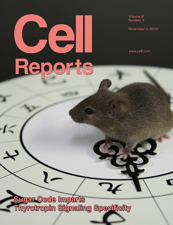 Cover of Cell Reports, featuring study using the protocol.