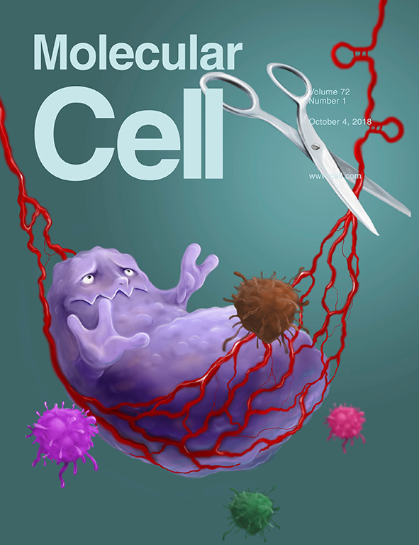 Cover of Molecular Cell, featuring study using the protocol.