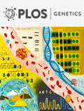 Cover of PLOS Genetics, featuring study using the protocol.