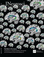 Cover of The Journal of Neuroscience, featuring study using the protocol.
