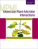 Cover of Molecular Plant Microbe Interactions, featuring study using the protocol.
