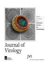 Cover of Journal of Virology, featuring study using the protocol.