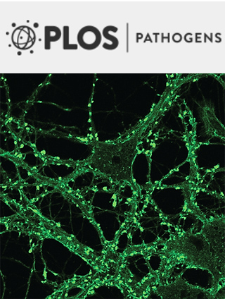 Cover of PLOS Pathogens, featuring study using the protocol.