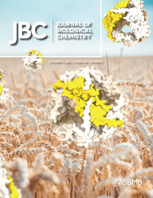 Cover of The Journal of Biological Chemistry, featuring study using the protocol.