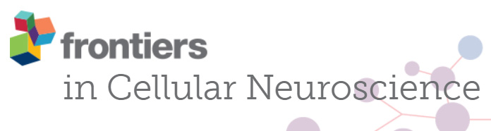 Cover of Frontiers in Cellular Neuroscience, featuring study using the protocol.