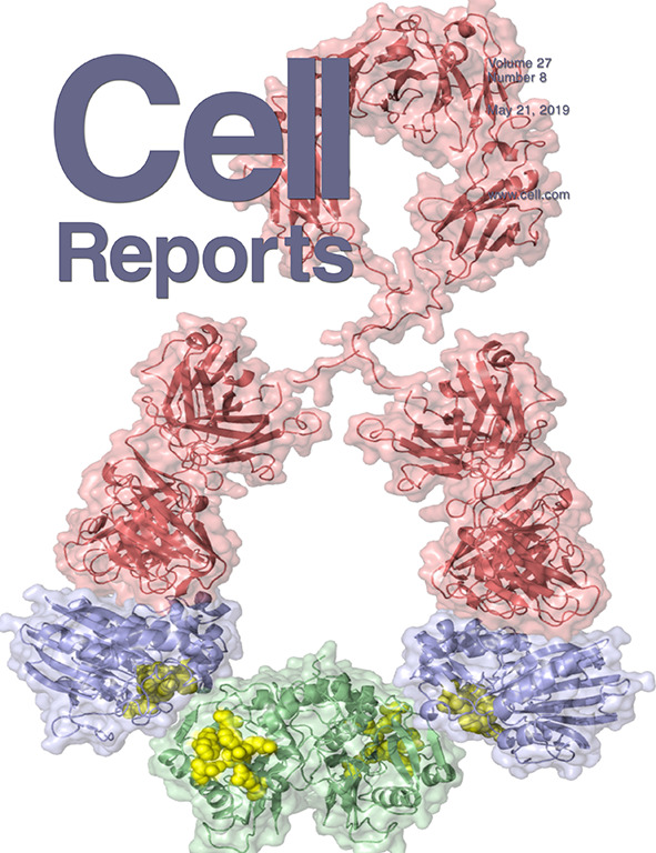 Cover of Cell Reports, featuring study using the protocol.