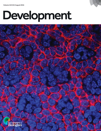 Cover of Development, featuring study using the protocol.