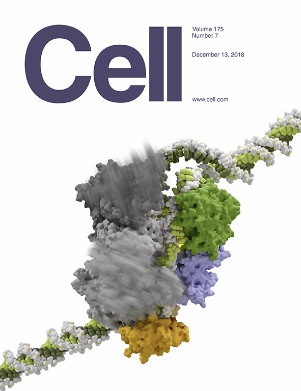Cover of Cell, featuring study using the protocol.